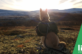 Naturforskere forteller: NINA 25 år på Lillehammer